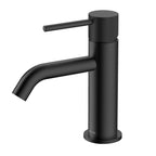 Single Handle Bathroom Vanity Basin Faucet – 1.8 GPM – AB000031 Matte Black