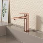 Single Level Handle Bathroom Faucet-Bathroom Vanity Basin Faucet-AB000064