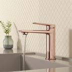 Single Level Handle Bathroom Faucet-Bathroom Vanity Basin Faucet-AB000064