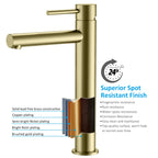 Tall Basin Faucet - Solid Brass Vanity Mixer with Spain ClTEC Cartridge -AB001005