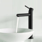Tall Basin Faucet - Solid Brass Vanity Mixer with Spain ClTEC Cartridge -AB001005