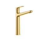 Kris Bathroom Faucet – Brass Basin Mixer with Citec Cartridge & Neoperl Aerator AB001070 Brushed Gold