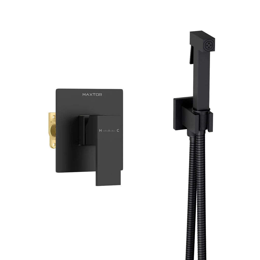 Solid Brass Toilet Spray Set with Concealed Valve – Luxury Finish Options AB040000
