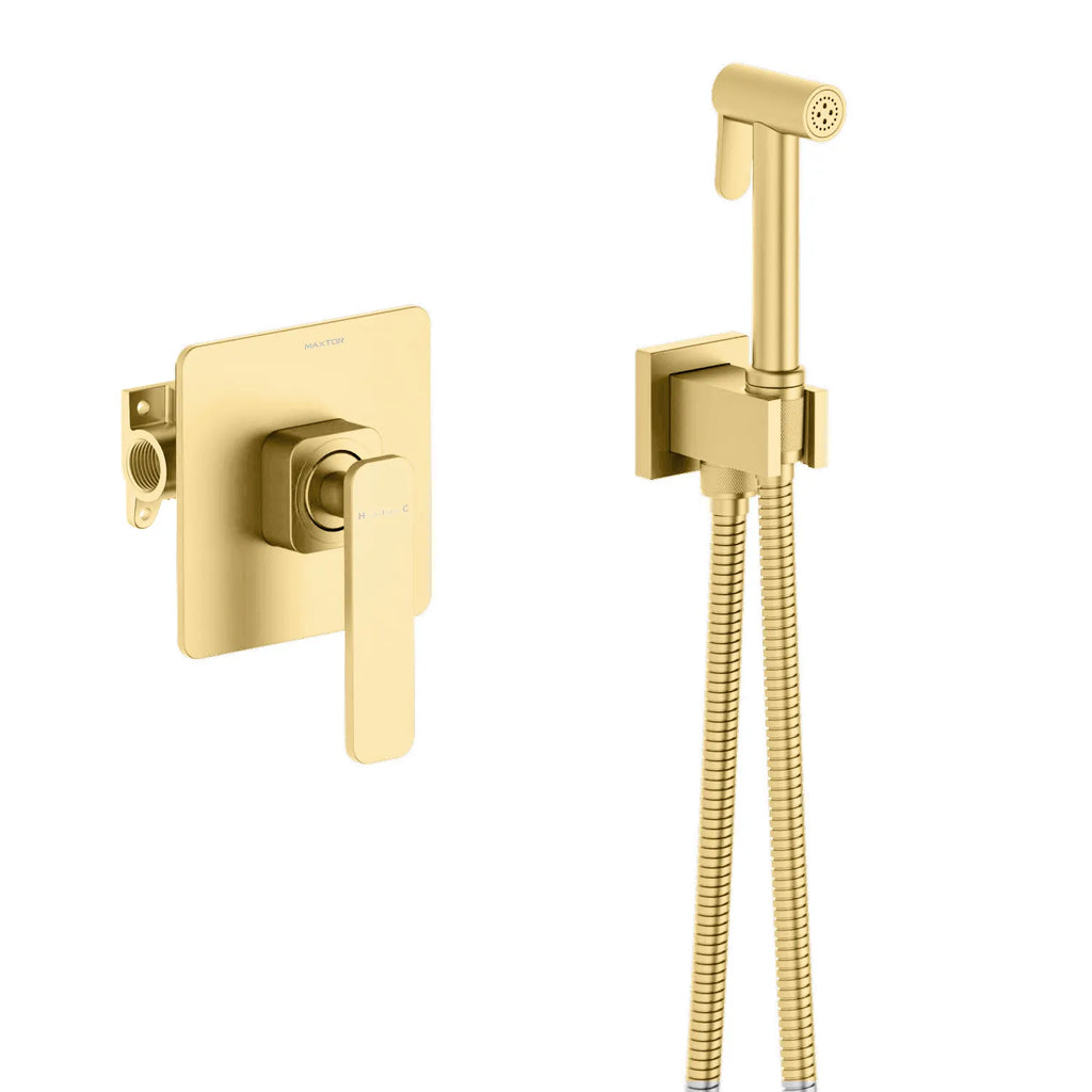 Wall Concealed Bidet Spray Set-Bidet Spray/Shattaf -HB1001 Brushed Gold