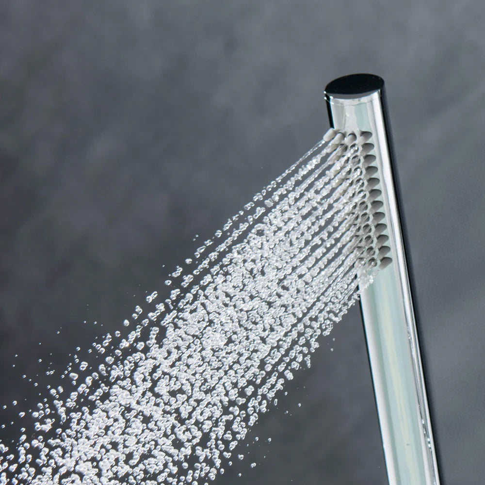 Circular SUS 304# Single-Setting Handheld Shower Head HS1001