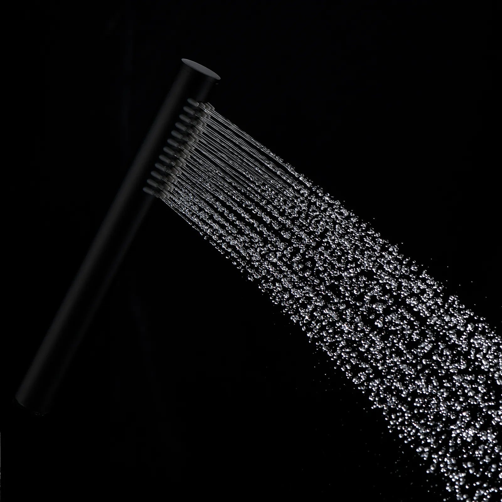 Circular SUS 304# Single-Setting Handheld Shower Head HS1001