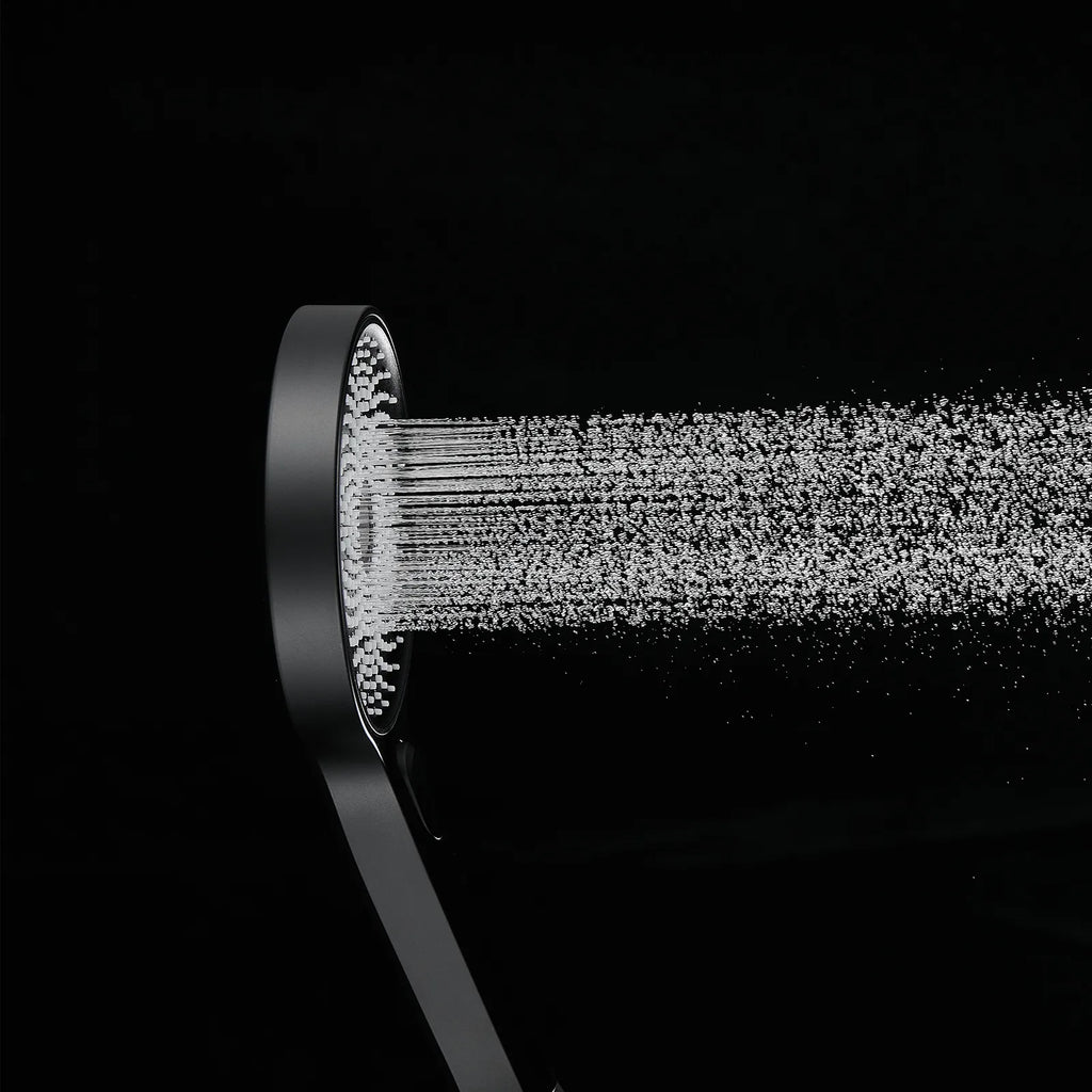 3-Function Handheld Shower Head HS2008