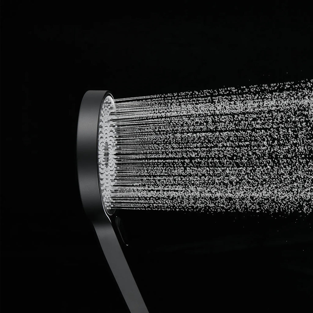 3-Function Handheld Shower Head HS2008