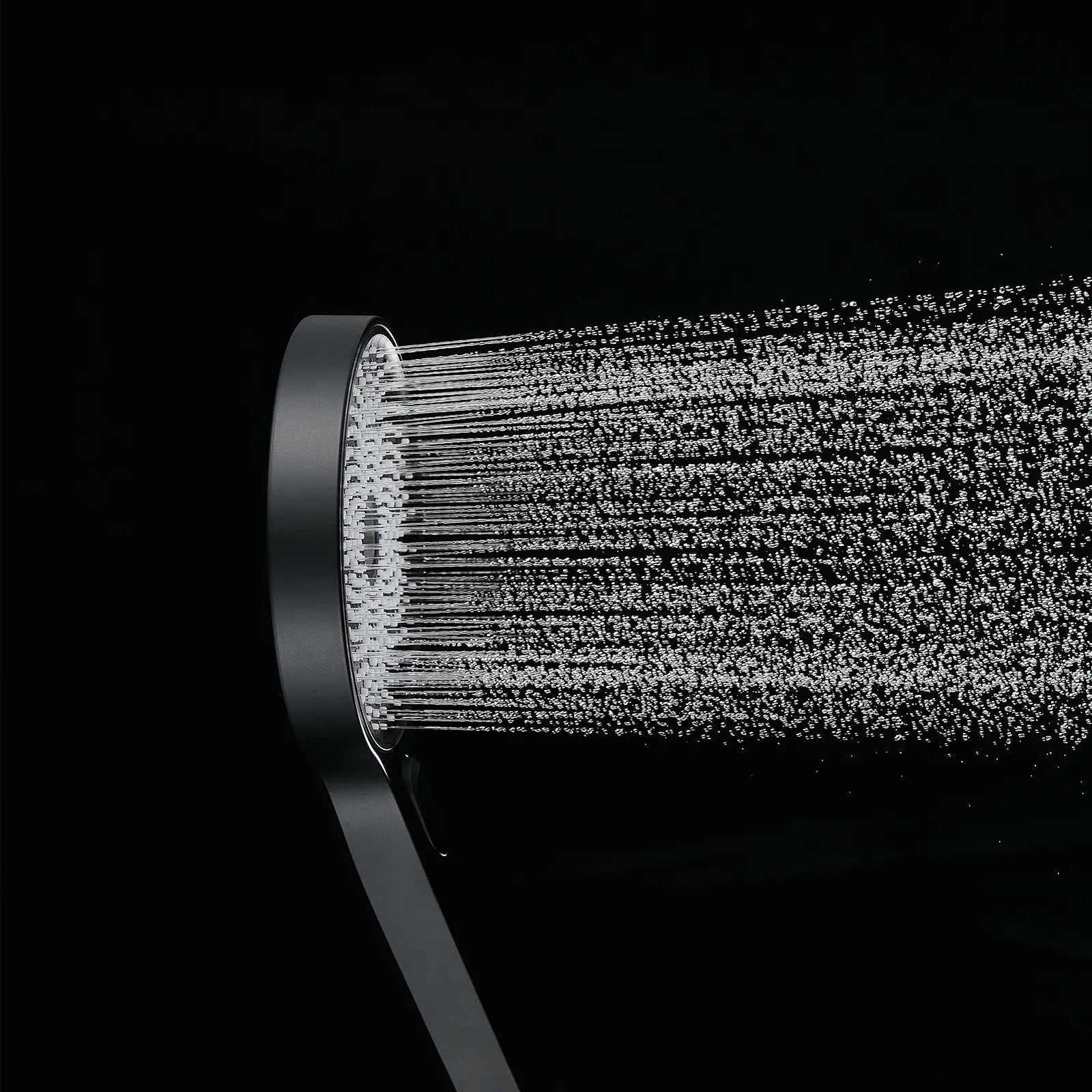 3-Function Handheld Shower Head HS2008