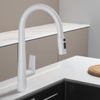 MAXTOR Pull-Down Kitchen Faucet – High Arc, 2-Function Spray Features-KFB010064