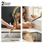 Matte Black Pull-Down Kitchen Faucet – Dual-Function Brass Spray – KFB1004