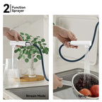 Brushed Gold Pull-Out Kitchen Faucet – Dual-Function Brass Spray – KFB1051A