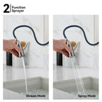 Chrome Pull-Down Kitchen Faucet – Dual-Function Brass Spray – KFB1051CH