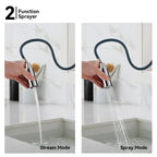 Chrome Pull-Down Kitchen Faucet – Dual-Function Brass Spray – KFB1051CH