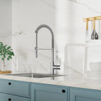 Commercial Style Pull-Down Kitchen Faucet – Dual-Function Spring Spray – KFB1053