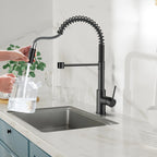 Commercial Style Pull-Down Kitchen Faucet – Dual-Function Spring Spray – KFB1053