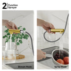 Knurled Pull-Out Kitchen Faucet – Dual-Function Spray – KFB1058A