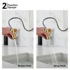 Knurled Pull-Down Kitchen Faucet – Dual-Function Spray – KFB1058