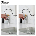 Knurled Pull-Down Kitchen Faucet – Dual-Function Spray – KFB1058