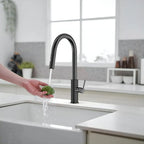 Knurled Pull-Down Kitchen Faucet – Dual-Function Spray – KFB1058