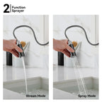 Knurled Pull-Down Kitchen Faucet – Dual-Function Spray – KFB1058