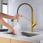Spring Coil Pull-Down Kitchen Faucet – 360° Swivel 304 Stainless Steel Spring – KFB1087