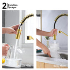 Spring Coil Pull-Down Kitchen Faucet – 360° Swivel 304 Stainless Steel Spring – KFB1087