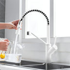 Spring Coil Pull-Down Kitchen Faucet – 360° Swivel 304 Stainless Steel Spring – KFB1087