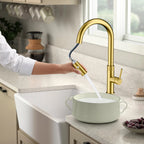 Textured High-Arc Pull-Down Kitchen Faucet – Dual Function Swivel Spray Head – KF1088