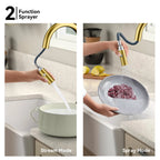 Textured High-Arc Pull-Down Kitchen Faucet – Dual Function Swivel Spray Head – KF1088