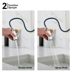 Minimalist High-Arc Pull-Down Kitchen Faucet – 360° Swivel Spot-Free Finish – KF1097