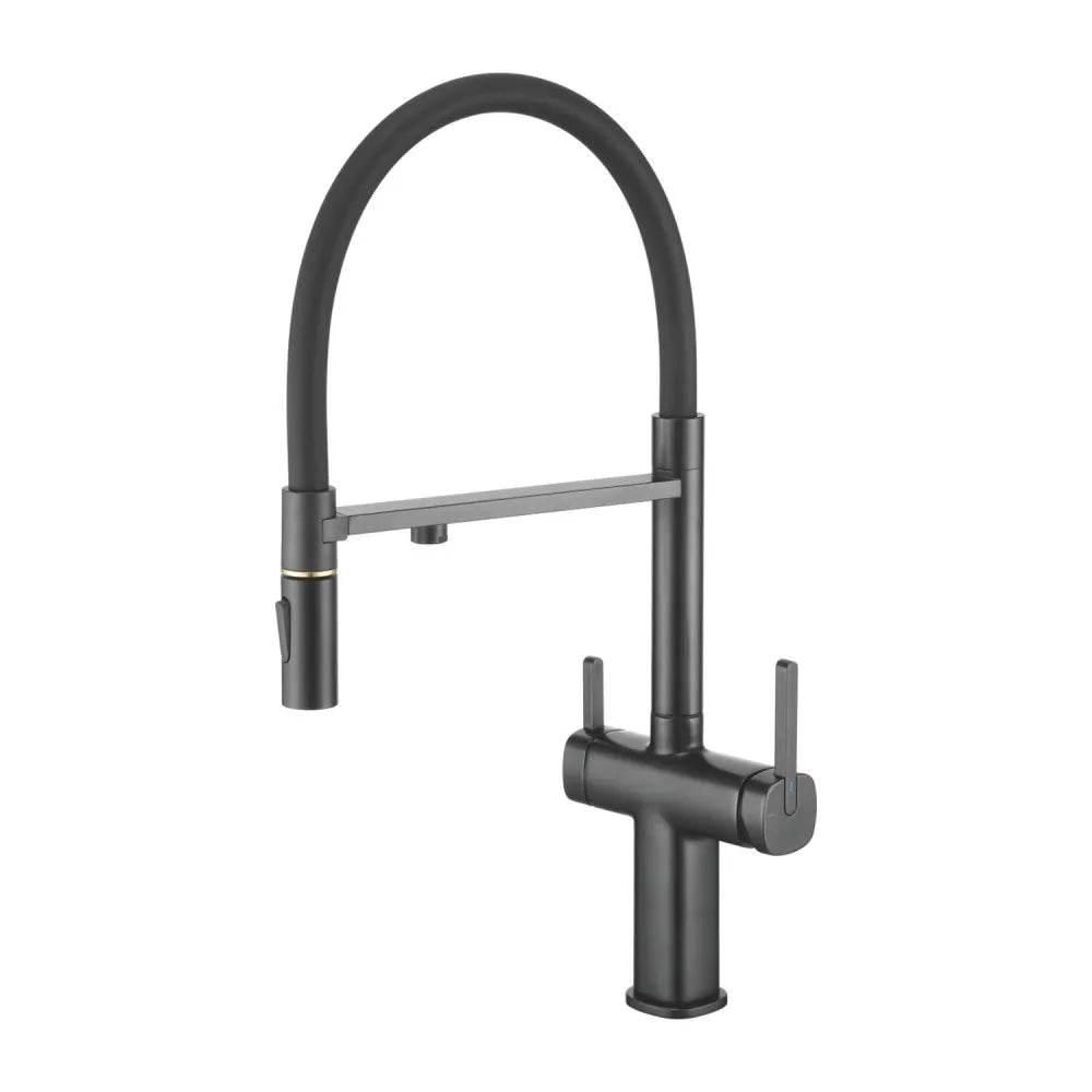 Dual-Output Pull-Out Kitchen Faucet – Filtered Water Tap, 360° Swivel Spray Head – KFB1098 Matte Black