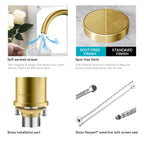 Dual-Handle Cross-Handle High-Arc Swivel Kitchen Faucet – Spot-Free Finish, Solid Brass –KFB1121