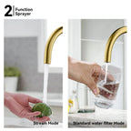 Dual-Output Kitchen Faucet with Filtered Water Tap, 2-Function Spray, Solid Brass – KFB1502