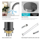 Dual-Output Kitchen Faucet with Filtered Water Tap, 2-Function Spray, Solid Brass – KFB1502