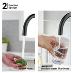 Dual-Output Kitchen Faucet with Filtered Water Tap, 2-Function Spray, Solid Brass – KFB1502