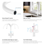 Dual-Output Kitchen Faucet with Filtered Water Tap, 2-Function Spray, Solid Brass – KFB1502