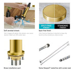5-Function Solid Brass Pull-Out Kitchen Faucet with Filtered Water Tap – KFB1504
