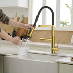 5-Function Solid Brass Pull-Out Kitchen Faucet with Filtered Water Tap – KFB1504