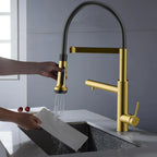 5-Function Solid Brass Pull-Out Kitchen Faucet with Filtered Water Tap – KFB1504