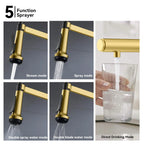 5-Function Solid Brass Pull-Out Kitchen Faucet with Filtered Water Tap – KFB1504