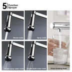 5-Function Solid Brass Pull-Out Kitchen Faucet with Filtered Water Tap – KFB1504