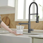 5-Function Solid Brass Pull-Out Kitchen Faucet with Filtered Water Tap – KFB1504