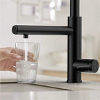 5-Function Solid Brass Pull-Out Kitchen Faucet with Filtered Water Tap – KFB1504