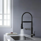5-Function Solid Brass Pull-Out Kitchen Faucet with Filtered Water Tap – KFB1504