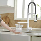 5-Function Solid Brass Pull-Out Kitchen Faucet with Filtered Water Tap – KFB1504