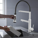 5-Function Solid Brass Pull-Out Kitchen Faucet with Filtered Water Tap – KFB1504