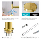 Semi-Pro Solid Brass Pull-Out Kitchen Faucet with Filtered Water Tap – 3-Function Sprayer – KFB1506