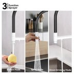Semi-Pro Solid Brass Pull-Out Kitchen Faucet with Filtered Water Tap – 3-Function Sprayer – KFB1506