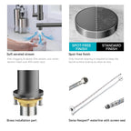 Semi-Pro Solid Brass Pull-Out Kitchen Faucet with Filtered Water Tap – Dual-Function Sprayer – KFB1508